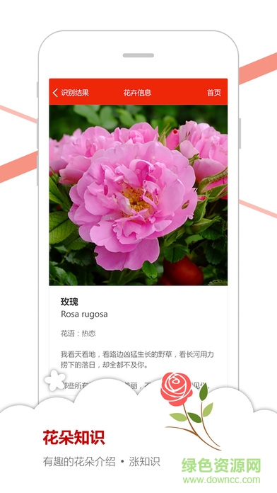 微軟識花(花草識別器)ios版 v1.0 iPhone版 2