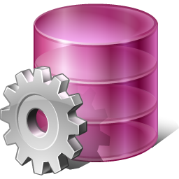 plsql developer 10.0.3