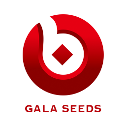 慶喆財(cái)經(jīng)