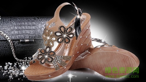 時尚鞋子匯手機版 v2.2.1 安卓版 2