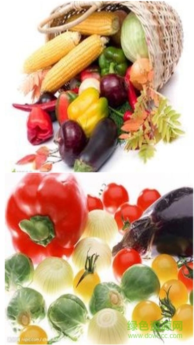 云风惠商城app v1.0.0 安卓版2