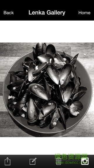 Lenka蘋果手機(jī)版 v1.4.5 官方ios版 1