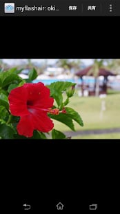 東芝FlashAir v3.1.2 安卓版 0