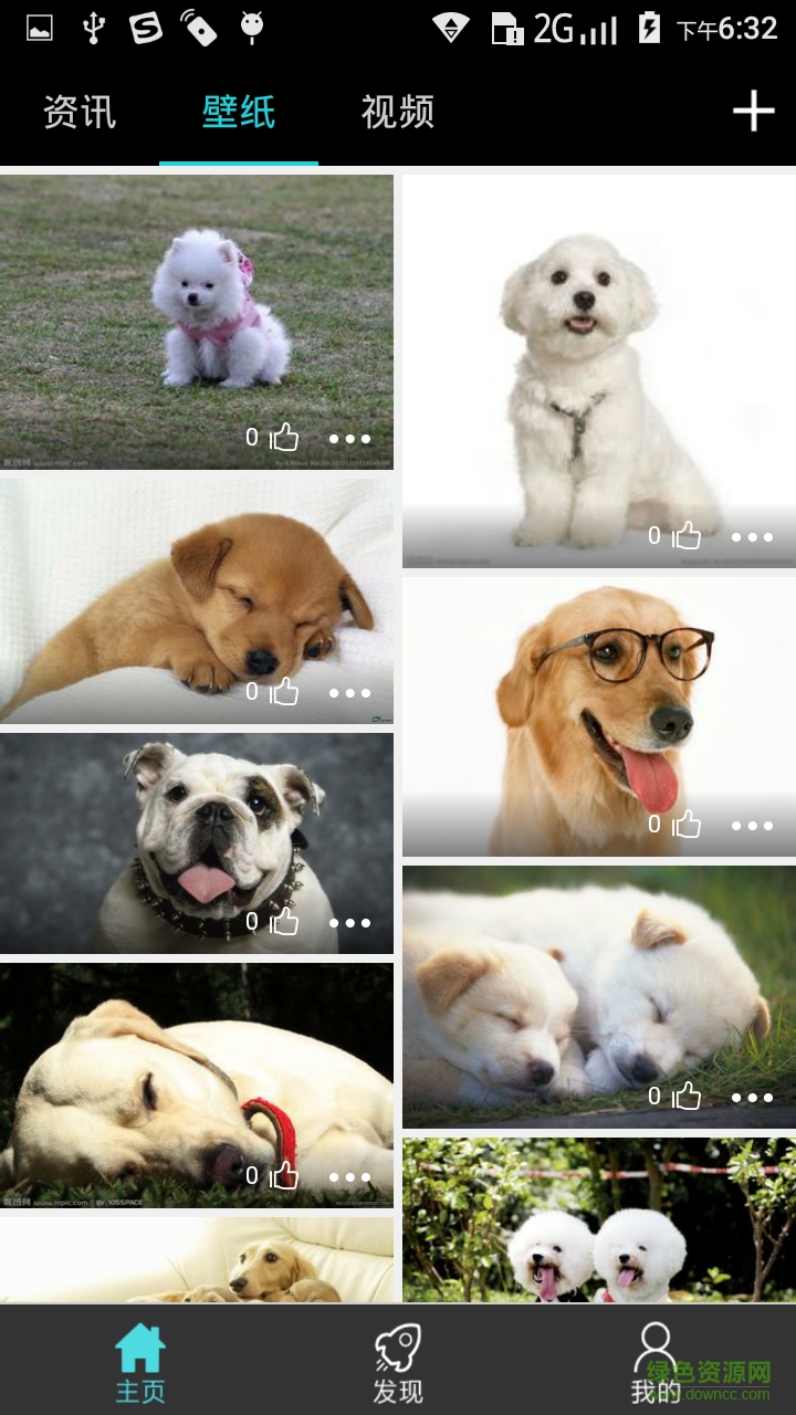 宠物专区 宠物专区app