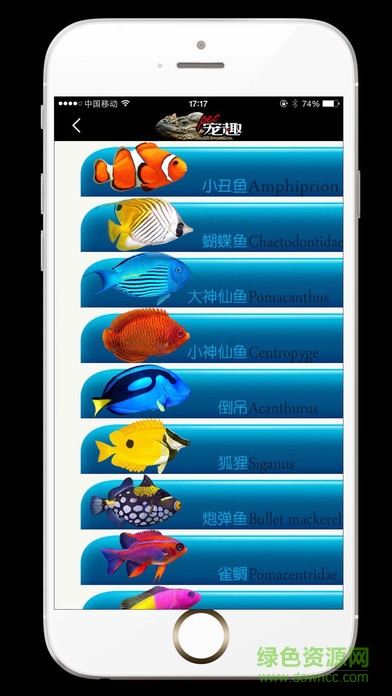 pet寵趣手機(jī)版 v1.0 安卓版 1