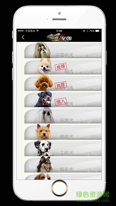 pet寵趣手機(jī)版 v1.0 安卓版 2