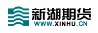 新湖期貨股份有限公司