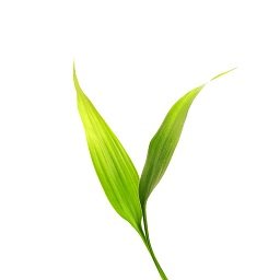 微博士家長(zhǎng)端官方