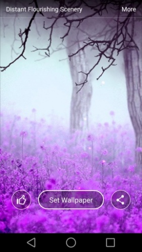 彼岸繁華手機(jī)版 v2.3.7 安卓版 1