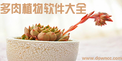 多肉植物app