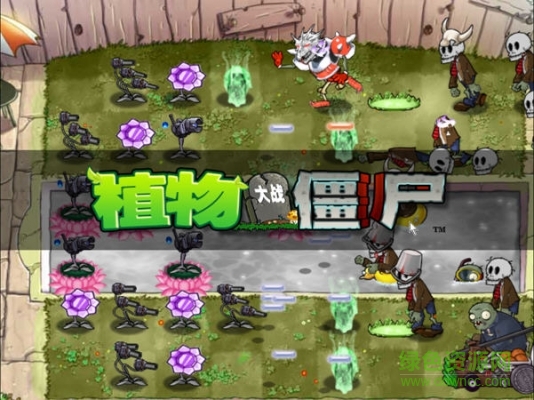 植物大戰(zhàn)僵尸魔幻版 綠色中文版 0