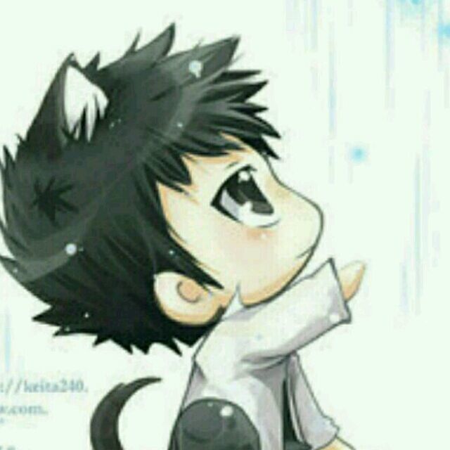 天真samp1.97一鍵免流