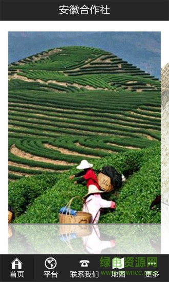 安徽合作社 v1.1 安卓版 2