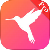 網(wǎng)盤搜索pro版ios版