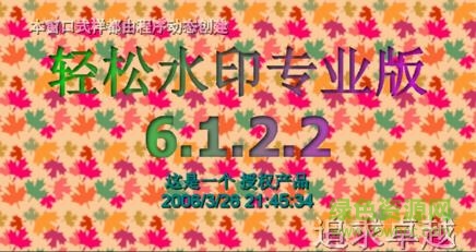 輕松水印專業(yè)版