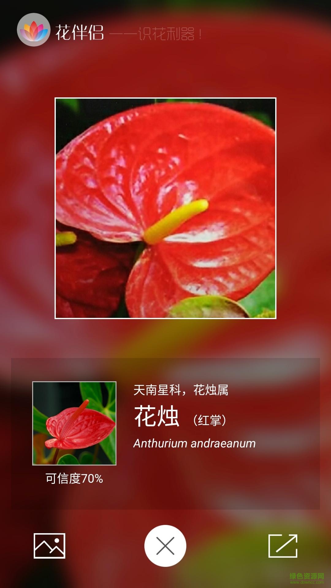 花伴侶植物識(shí)別 v3.2.20 安卓版 0