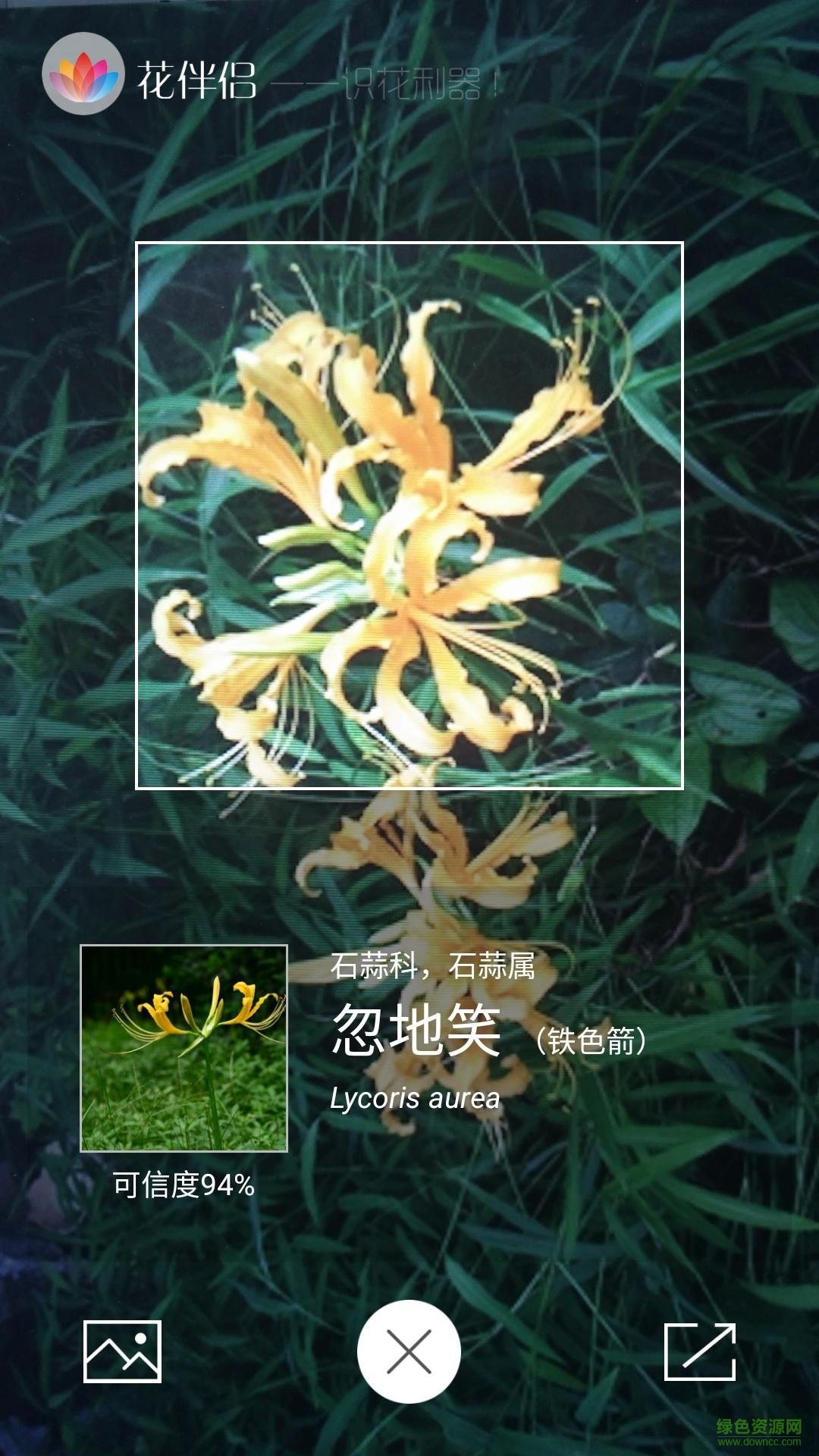 花伴侶植物識(shí)別下載
