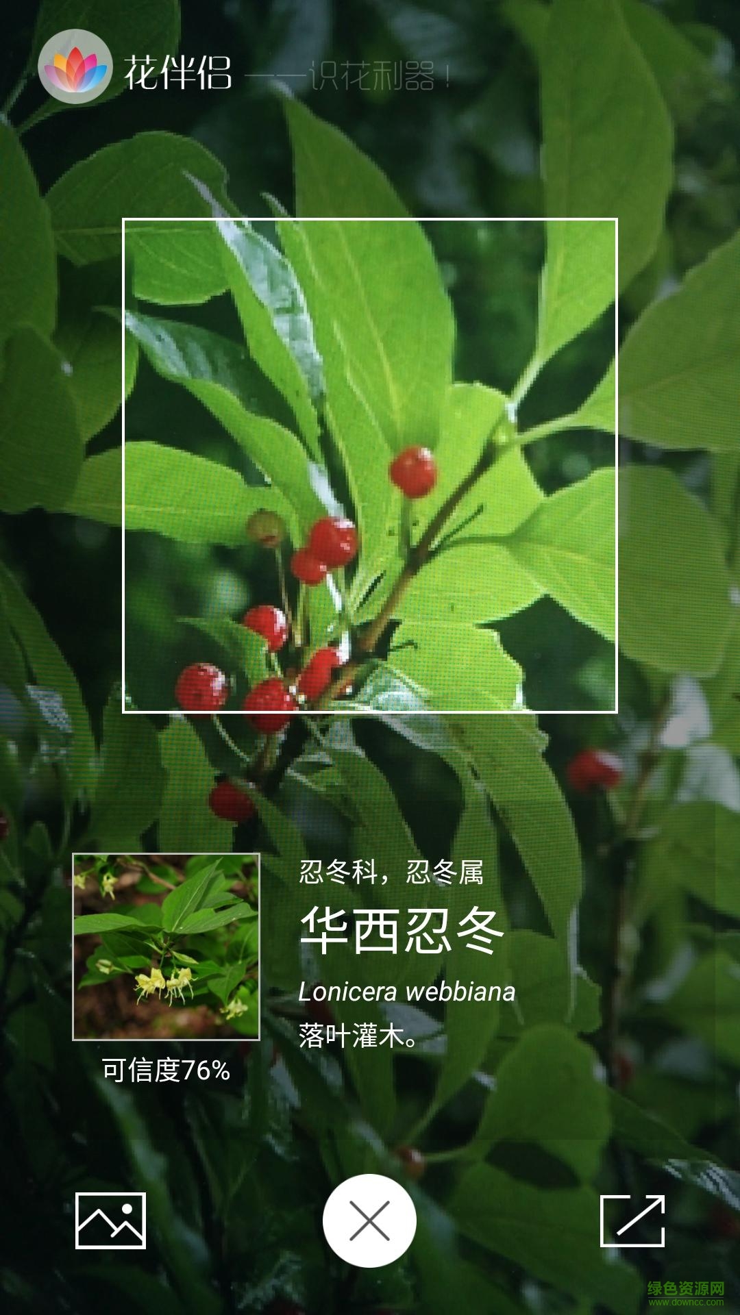 花伴侶植物識(shí)別 v3.2.20 安卓版 3
