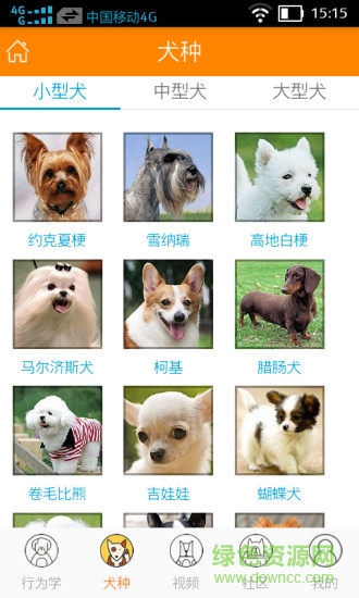 宠教官手机版 v11.11.16 安卓版1