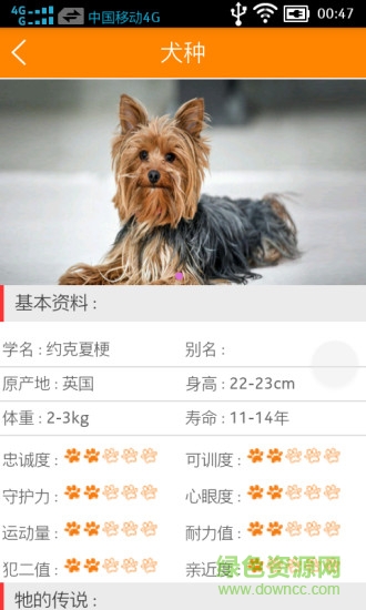 宠教官手机版 v11.11.16 安卓版2