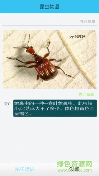 拍照識(shí)別昆蟲軟件 v2.0 安卓版 0