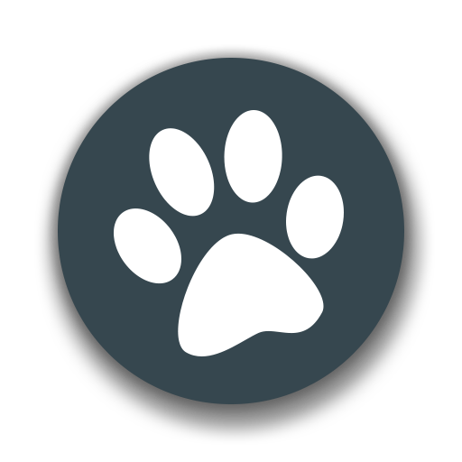 獸音譯者在線翻譯app