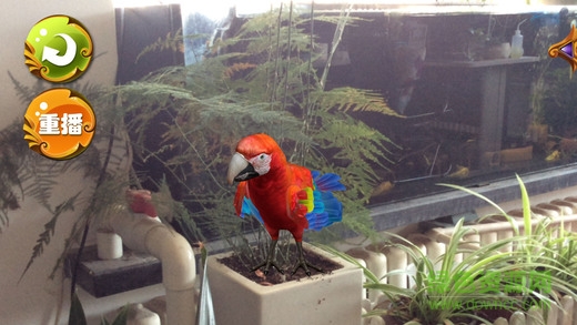 ar小百科app v3.1 安卓版 0