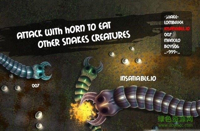 蠕蟲大作戰(zhàn)中文版(insatiable.io) v1.2.2 安卓版 1