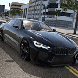 地平線狂野賽車(chē)