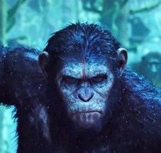 猩球崛起3終極之戰(zhàn)游戲(Life of Apes Jungle Survival)