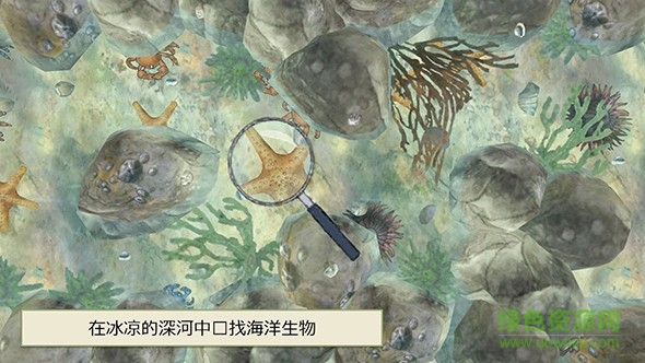 我們?nèi)カC熊手游(Bear Hunt) v1.0.0 安卓中文版 2