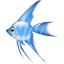 魚眼COK精靈獨(dú)立版