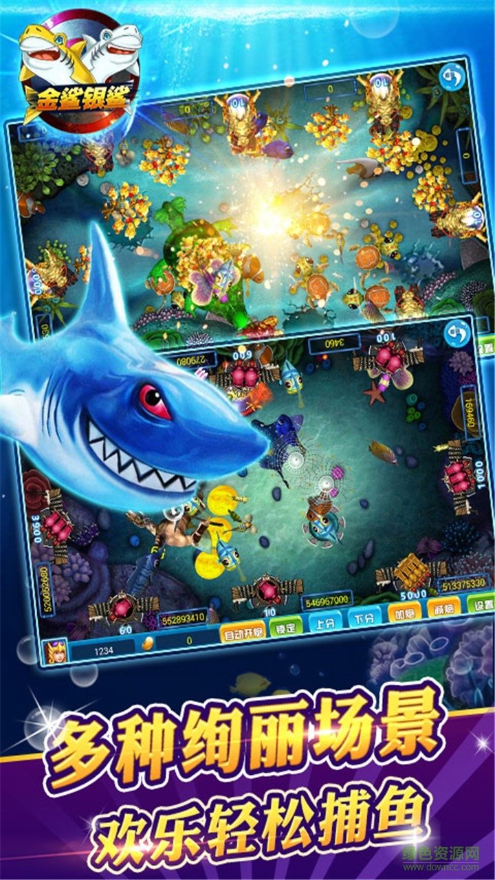 金鯊銀鯊正版 v5.1.1 4