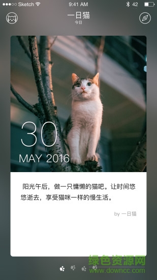 一日貓手機客戶端 v2.4.7 安卓版 1