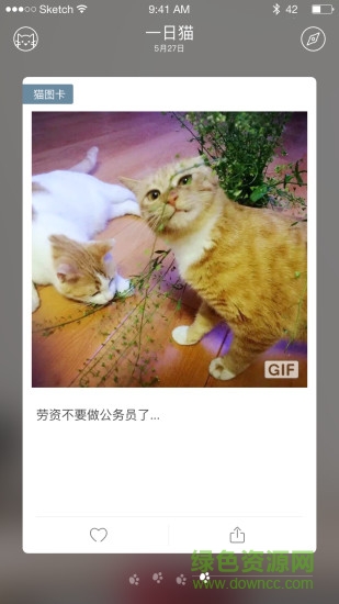 一日貓 一日貓app