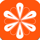 武漢首條brt線路圖