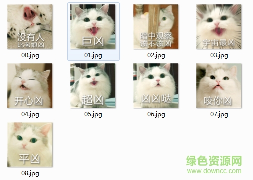 貓咪超兇表情包 完整版 0