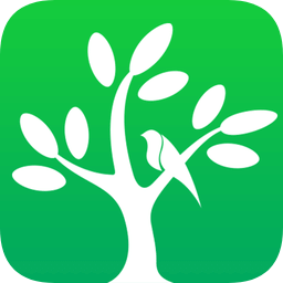 呼喚森林官方版