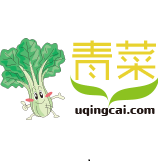 u青菜u盤啟動盤制作工具