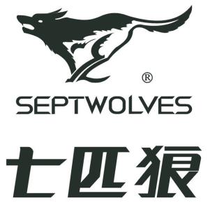 七匹狼網(wǎng)絡學院