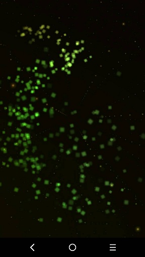 Mira (彩色粒子) v1.0.1 安卓版 0