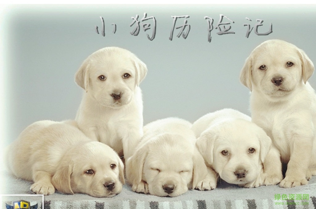 小狗歷險(xiǎn)記1.3正式版  0