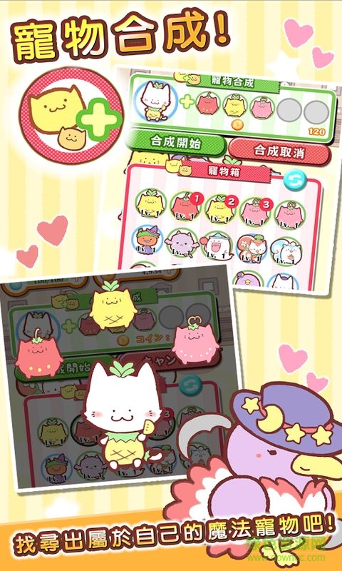魔法寵物屋漢化版 v1.0.0 安卓免谷歌版 2