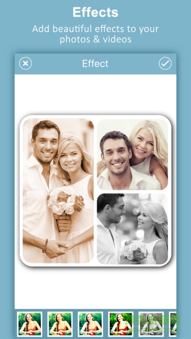 video collage 蘋(píng)果