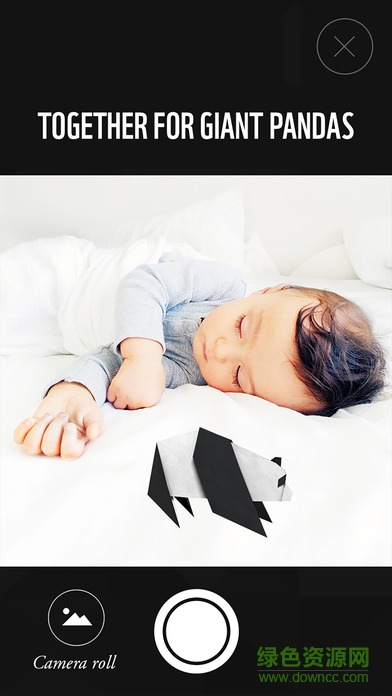 WWF Together中文版(動(dòng)物折紙) v1.1.0 安卓版 0