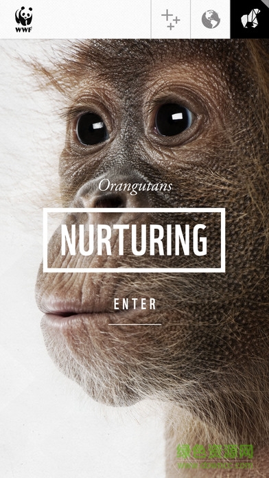 WWF Together中文版(動(dòng)物折紙) v1.1.0 安卓版 1