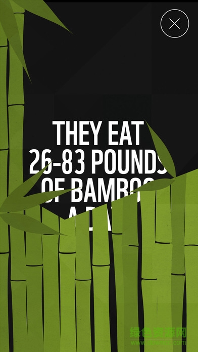 WWF Together中文版(動(dòng)物折紙) v1.1.0 安卓版 3