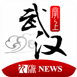 掌上武漢app客戶端老版本