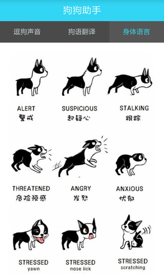 狗狗助手 v1.0 安卓版 3