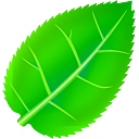 軟件屋域名搶注工具